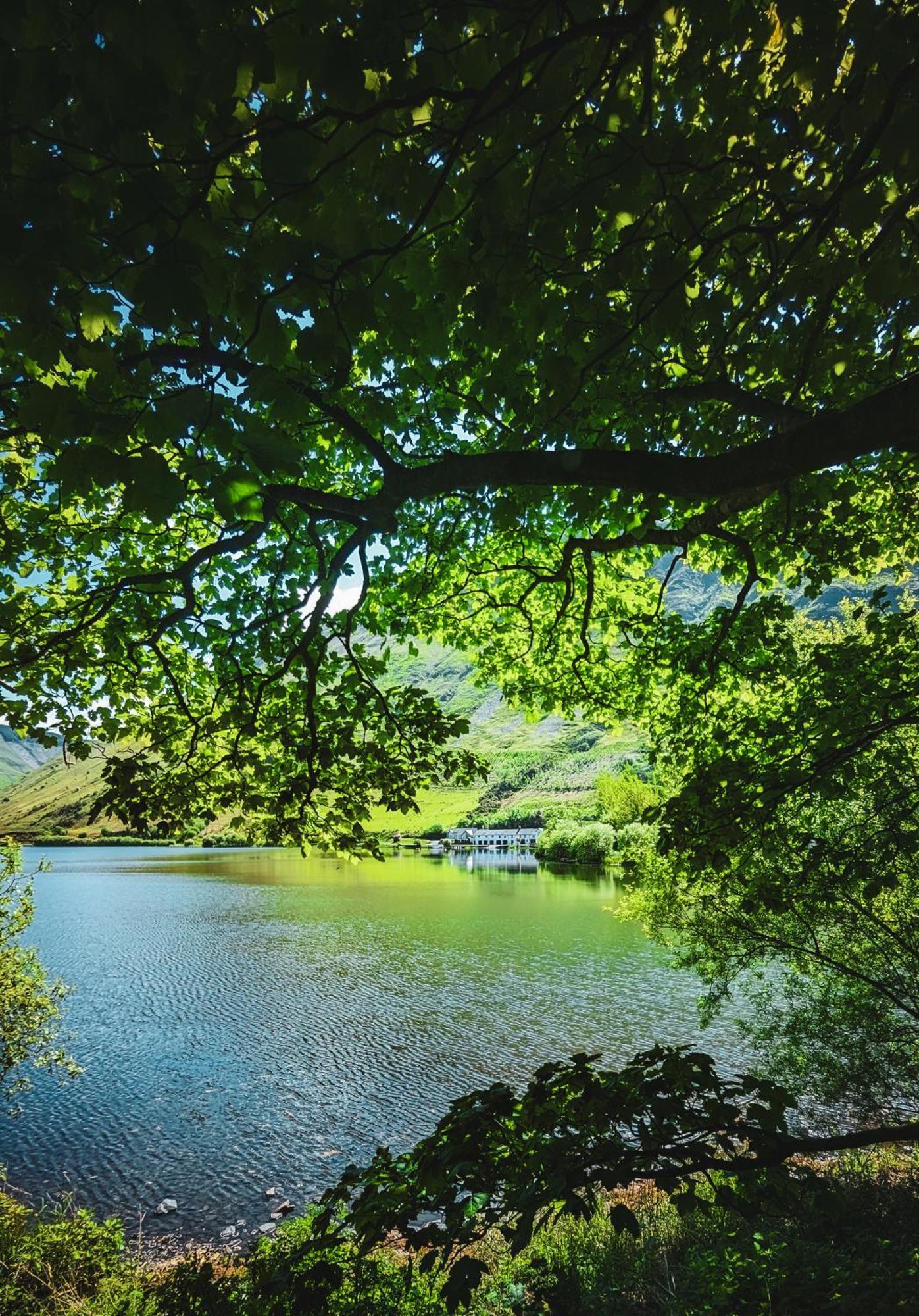 Tynycornel Hotel Tal-y-llyn Exteriör bild